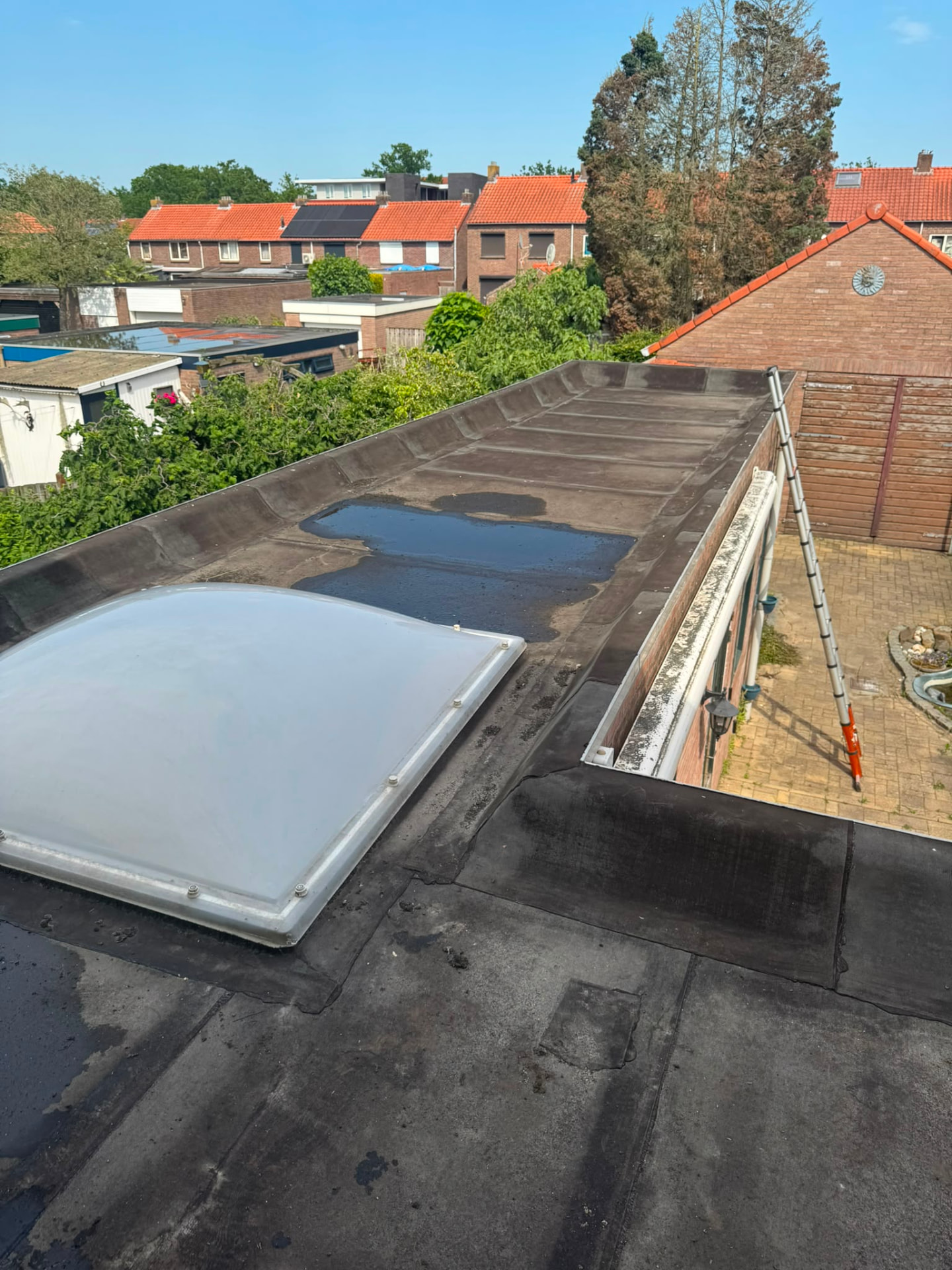 Plassenvorming bij lichtkoepel