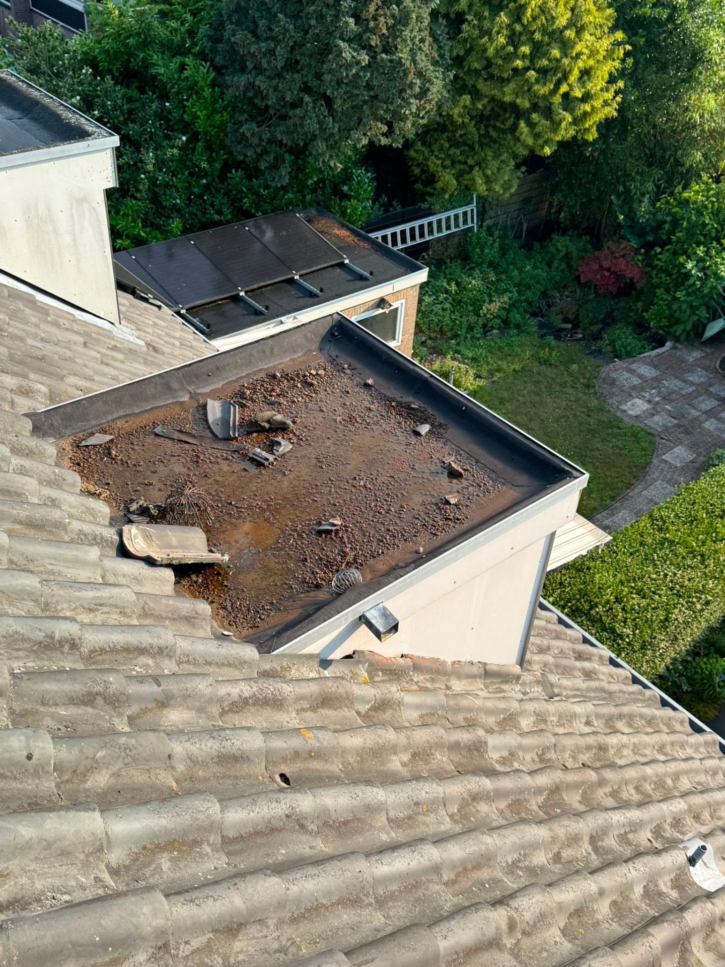 Verweerd plat dak · voor
